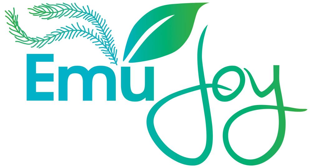 emujoy logo